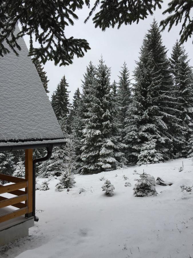 Zlatair Chalets Vila Nova Varoš Exterior foto